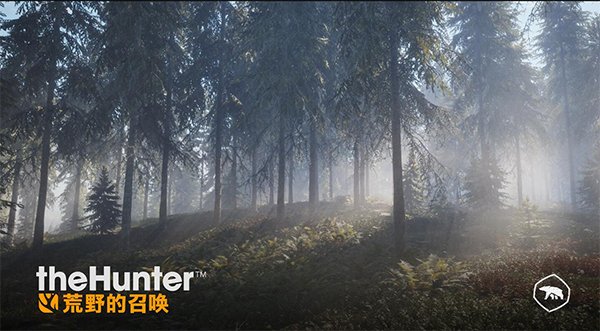 荒野的召唤天黑了怎么办