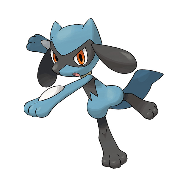 口袋妖怪漆黑的魅影利欧路几级进化