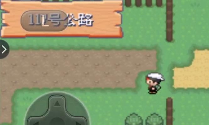 口袋妖怪漆黑的魅影呱呱泡蛙在哪