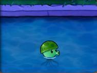 植物大战僵尸49个植物介绍是什么 植物大战僵尸一份详细的49种植物介绍