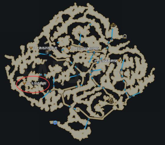 命运方舟伯尼尔森林怎么走