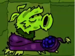 植物大战僵尸十大藤蔓植物是什么