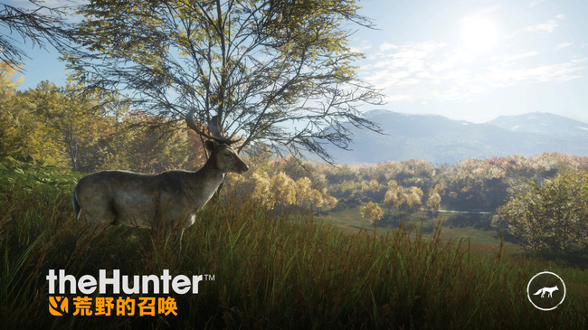 猎人荒野的呼唤弓箭哪个好