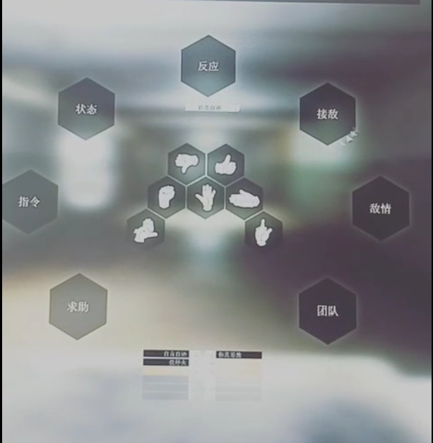 逃离塔科夫语音怎么开