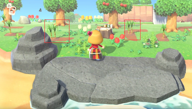 集合啦！动物森友会甘蔗怎么获得