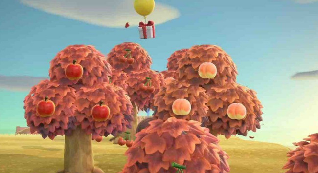 如何获得树果系列和手册