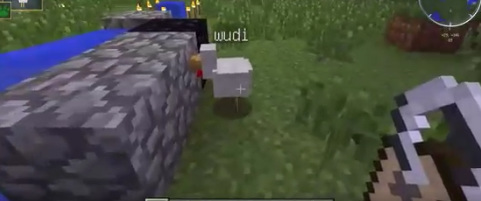 我的世界手机版怎么命名动物 学习如何在我的世界手机版中给动物命名