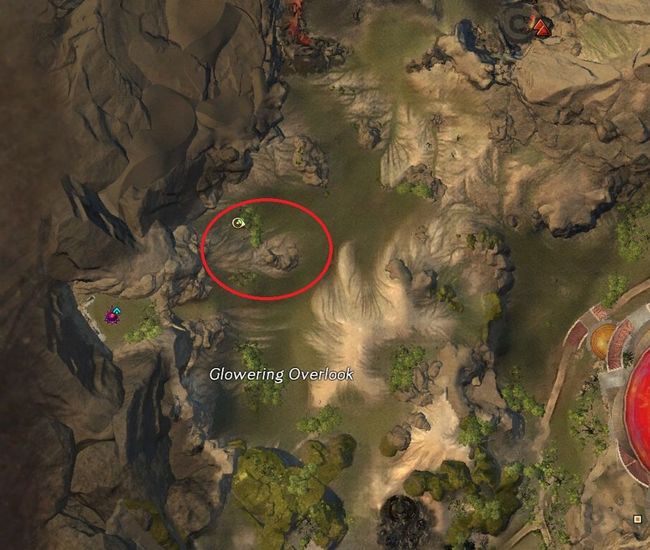 激战2蓝花楹在哪抓