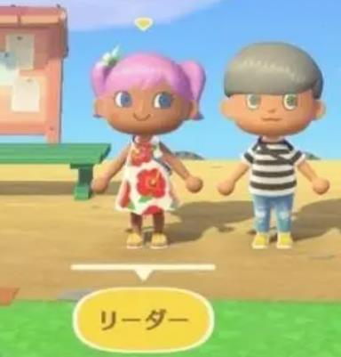 一个switch可以两个人玩动森吗 两人玩动森的实现方法及步骤介绍