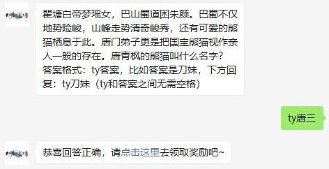 天涯明月刀唐青枫的熊猫叫什么