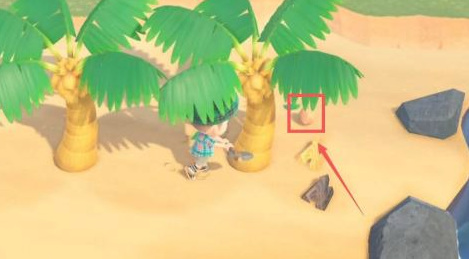 集合啦！动物森友会蛋怎么获得 动物森友会中如何获取蛋