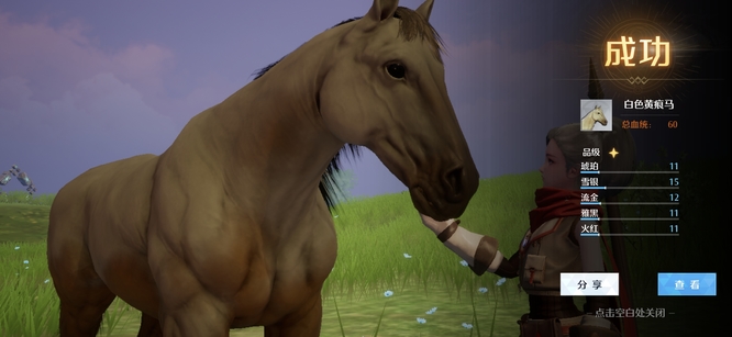 诺亚之心马在哪