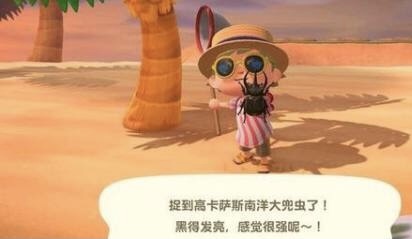 动森改造工具组怎么获得 如何获得动物森友会改造工具组