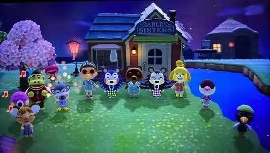 动物森林小动物稀有度排名有哪些