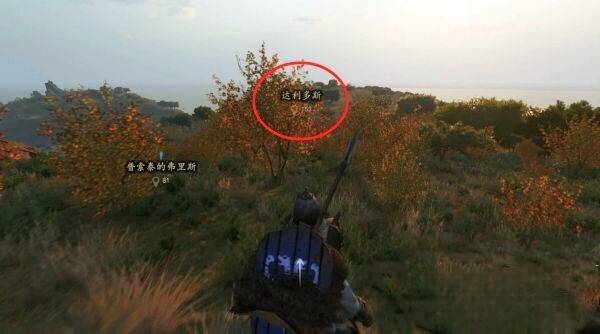 骑砍2家族世仇怎么完成 骑马与砍杀2霸主如何解决家族仇怨