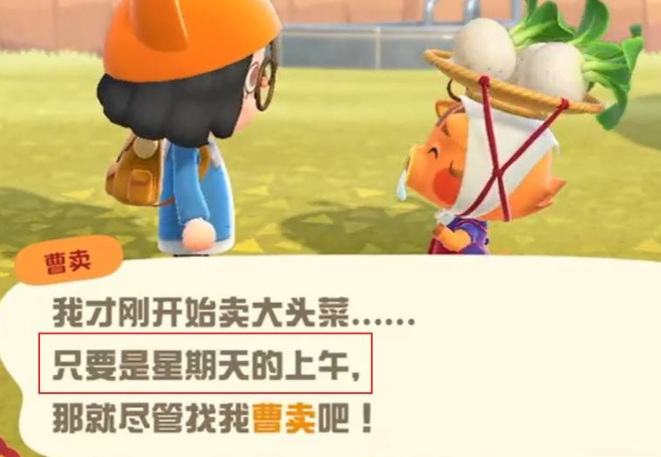 动物之森曹卖什么时候会出现