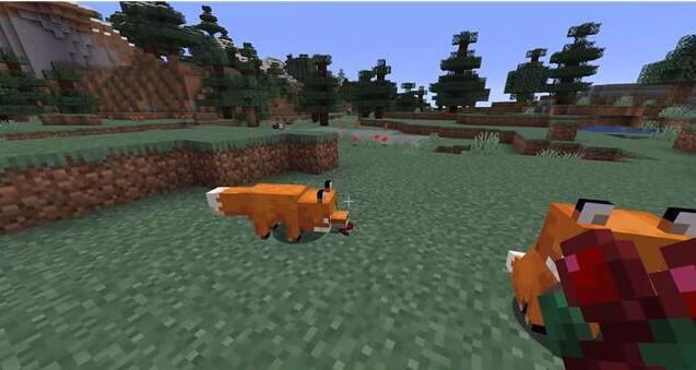 狐狸喜欢吃什么