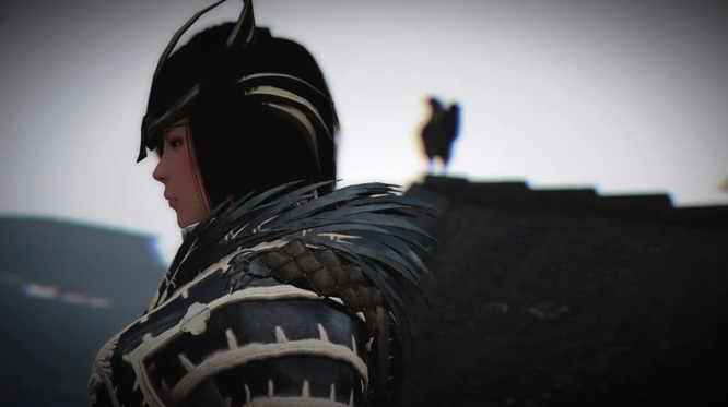 黑色沙漠手游熊猫登记证怎么用