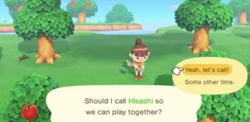 一个switch可以两个人玩动森吗