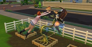 模拟人生4怎么收魂 模拟人生4如何进行收魂操作