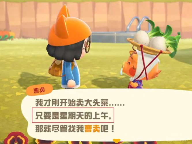 动物之森曹卖什么时候会出现