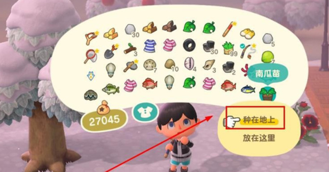 动森黄色南瓜怎么获得 如何获得动物森友会中的黄色南瓜