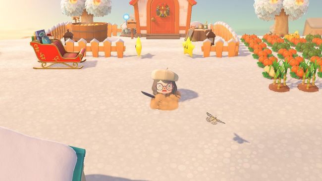 动森陷阱种子怎么使用 使用动物森友会中的陷阱种子方法详解