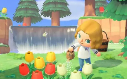 如何在鱼缸外控制灯笼鱼