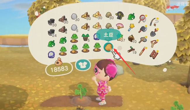 动森土豆怎么获得