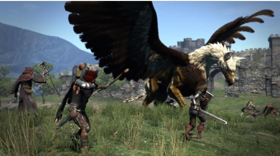 龙之信条游侠技能推荐怎么搭配