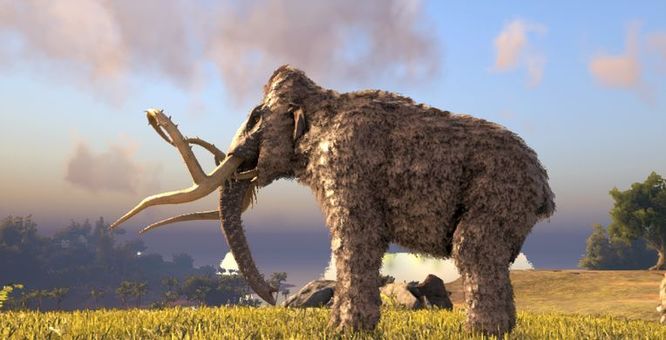 方舟手游最实用的龙排行榜是什么 方舟手游中最实用的龙种类排行榜