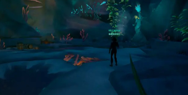 盗贼之海黑珍珠第二章怎么过 盗贼之海黑珍珠之旅