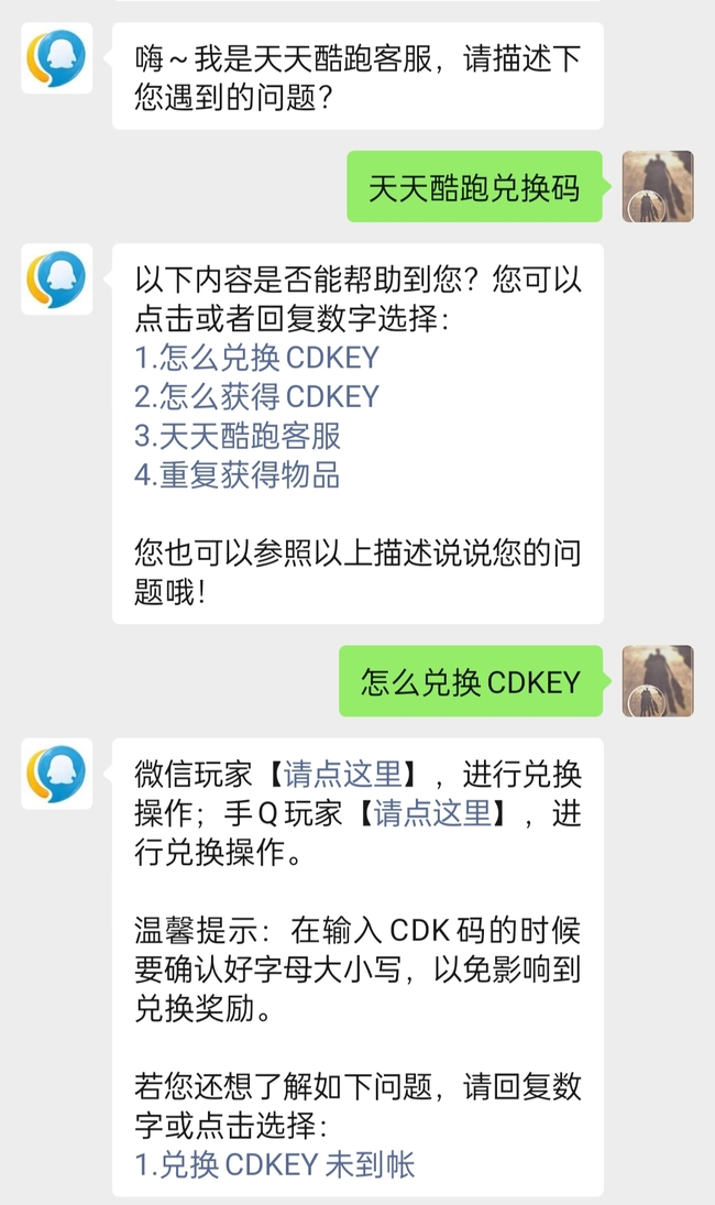 天天酷跑兑换码在哪里输入