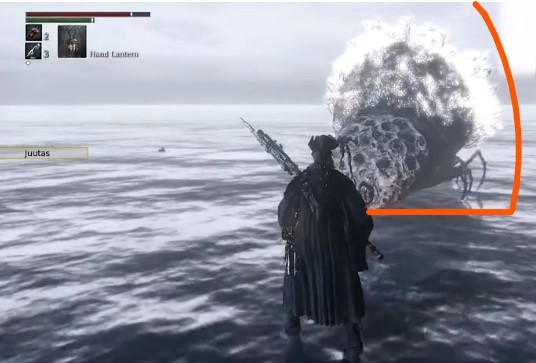 愚笨的蜘蛛罗姆在哪