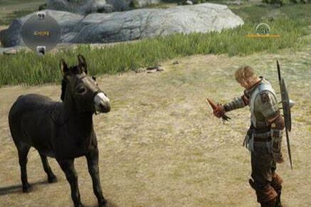 黑色沙漠怎么召唤马