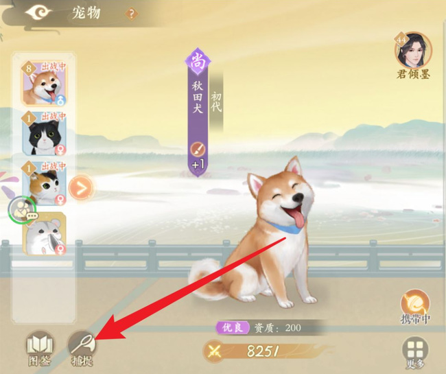 凌云诺宠物狗怎么捕捉 凌云诺手游中如何捕捉宠物狗