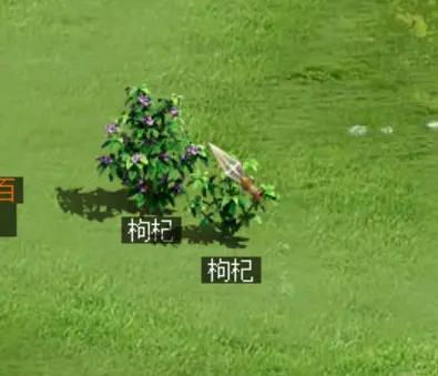 问道百花多少速度能杀 问道百花速度杀几何问道