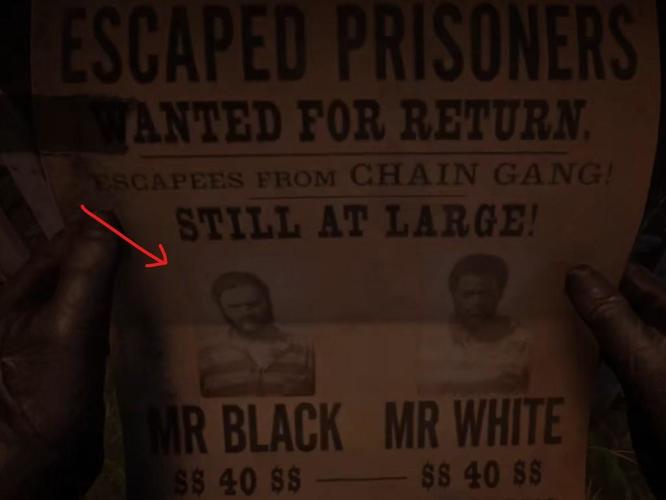 大镖客2黑白先生是选择放还是抓