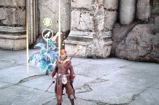 神佑释放血之月见草在哪 神佑呼唤血之月见草在哪