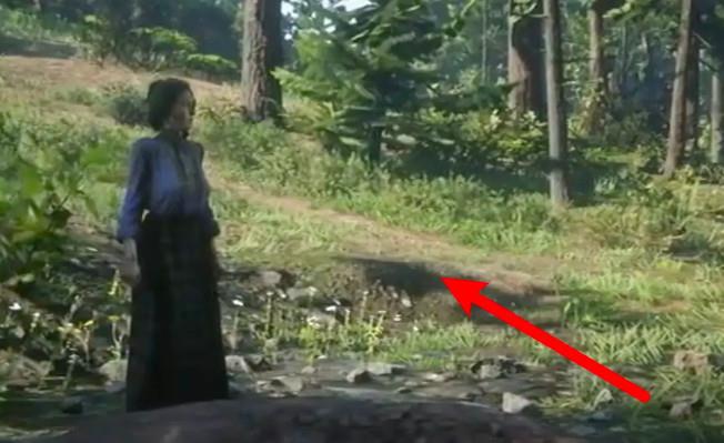 荒野大镖客夏洛蒂第三部分怎么触发