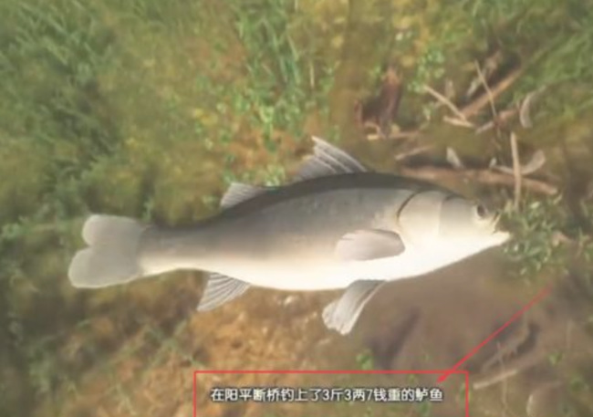 古剑奇谭3鲈鱼怎么获得 古剑奇谭3中获得鲈鱼的方法详解