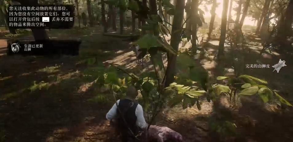 荒野大镖客：救赎2山狮用什么武器比较好 荒野大镖客2山狮应使用何种武器