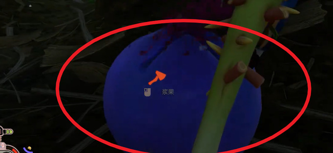 禁闭求生浆果林在哪里