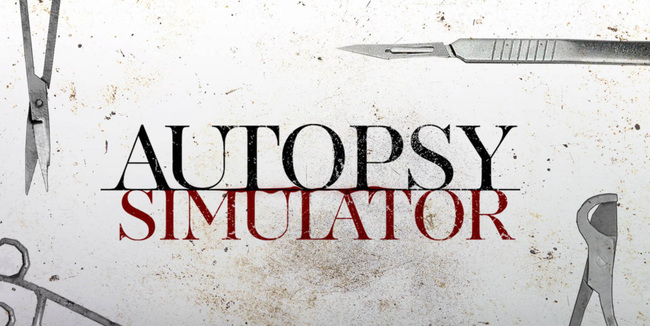 验尸模拟器怎么调中文