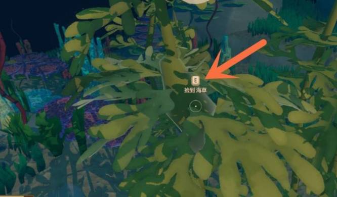 木筏求生手游海草在哪