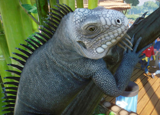 动物园之星第二关12个物种都是什么 探索动物王国发现12种神奇生物