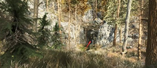 地铁离去针叶林怎么过 地铁离去中的针叶林之旅