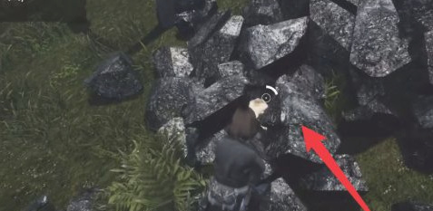 死亡之夜研究所位置在哪 在哪里找到死亡之夜研究所位置分析