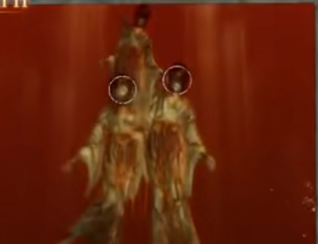 零：濡鸦之巫女夕莉死法有哪些 探究濡鸦之巫女夕莉的死亡之谜