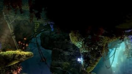 奥日与鬼火意志泉源水下的门怎么开